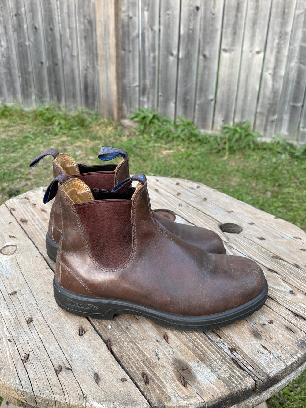 Blundstone 560 in Rich Brown (Unisex)